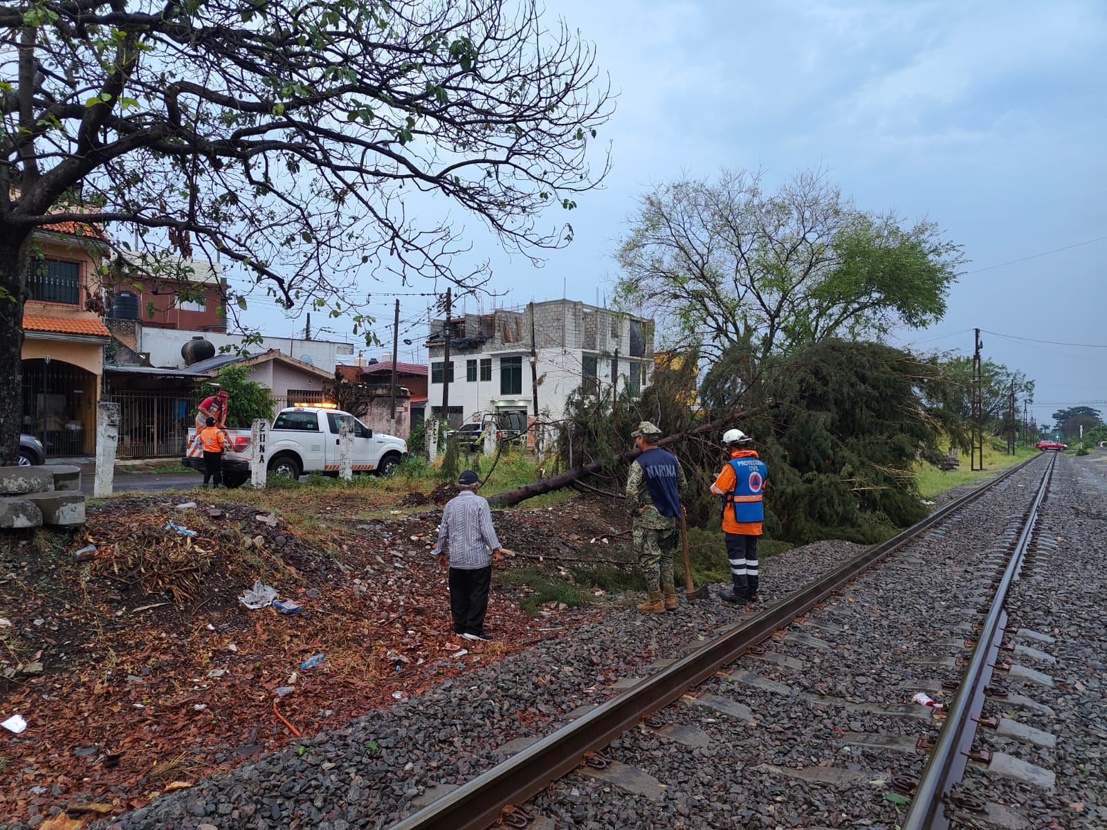 Atiende Protección Civil de Córdoba reportes de árboles caídos tras el paso de intensa lluvia árboles caídos