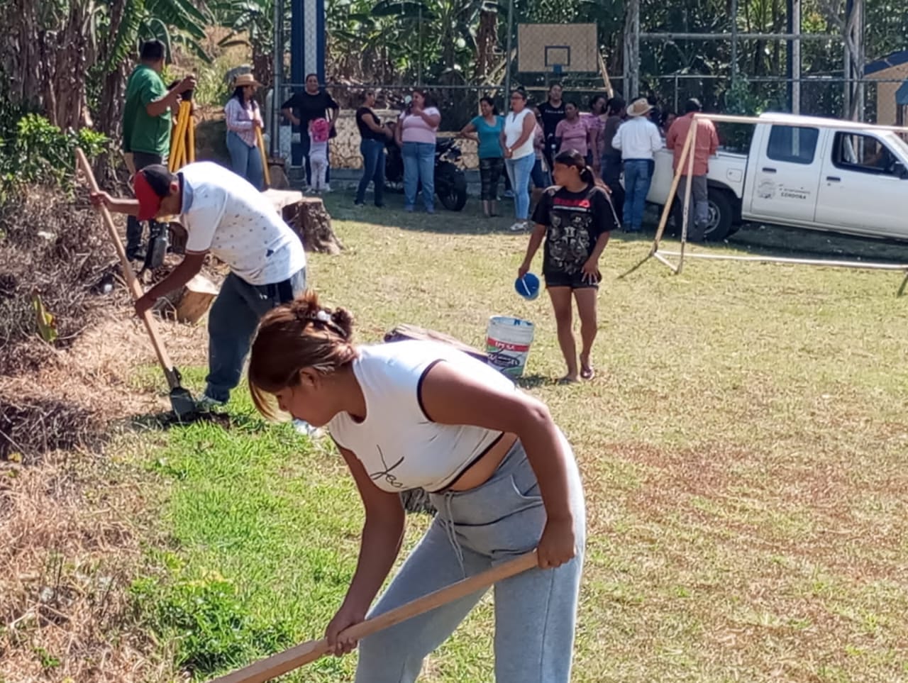 reforestacion cordoba
