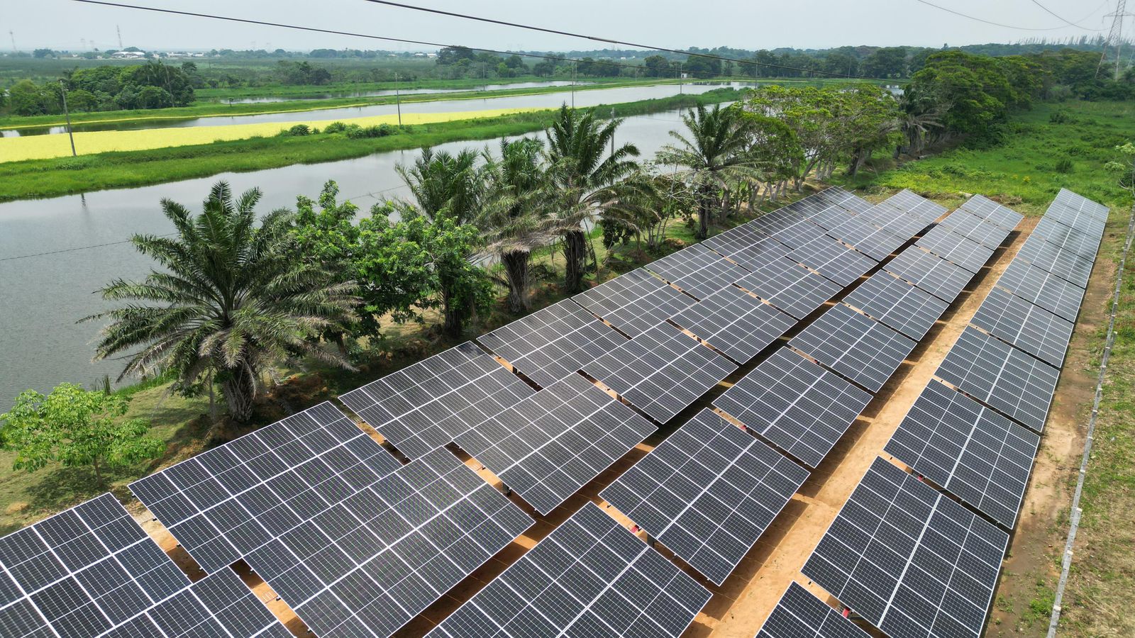 Inaugura Rocío Nahle primer parque fotovoltaico en el sur de Veracruz Paneles solares