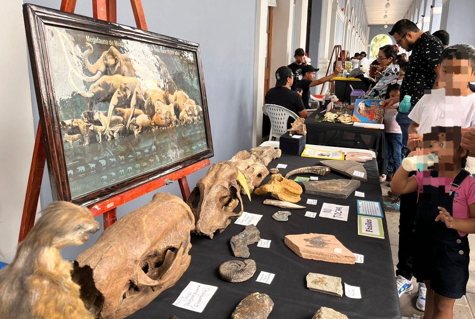 WhatsApp Image 2024-07-14 at 16.12.56