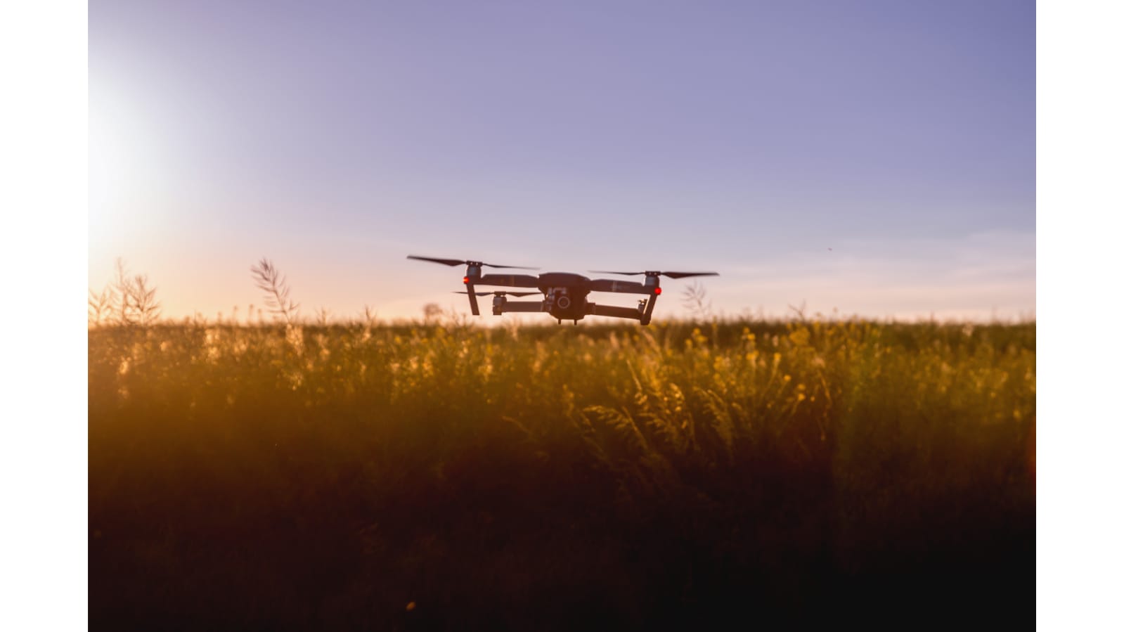 Gobierno estatal empleará drones para restaurar zonas afectadas por incendios dron