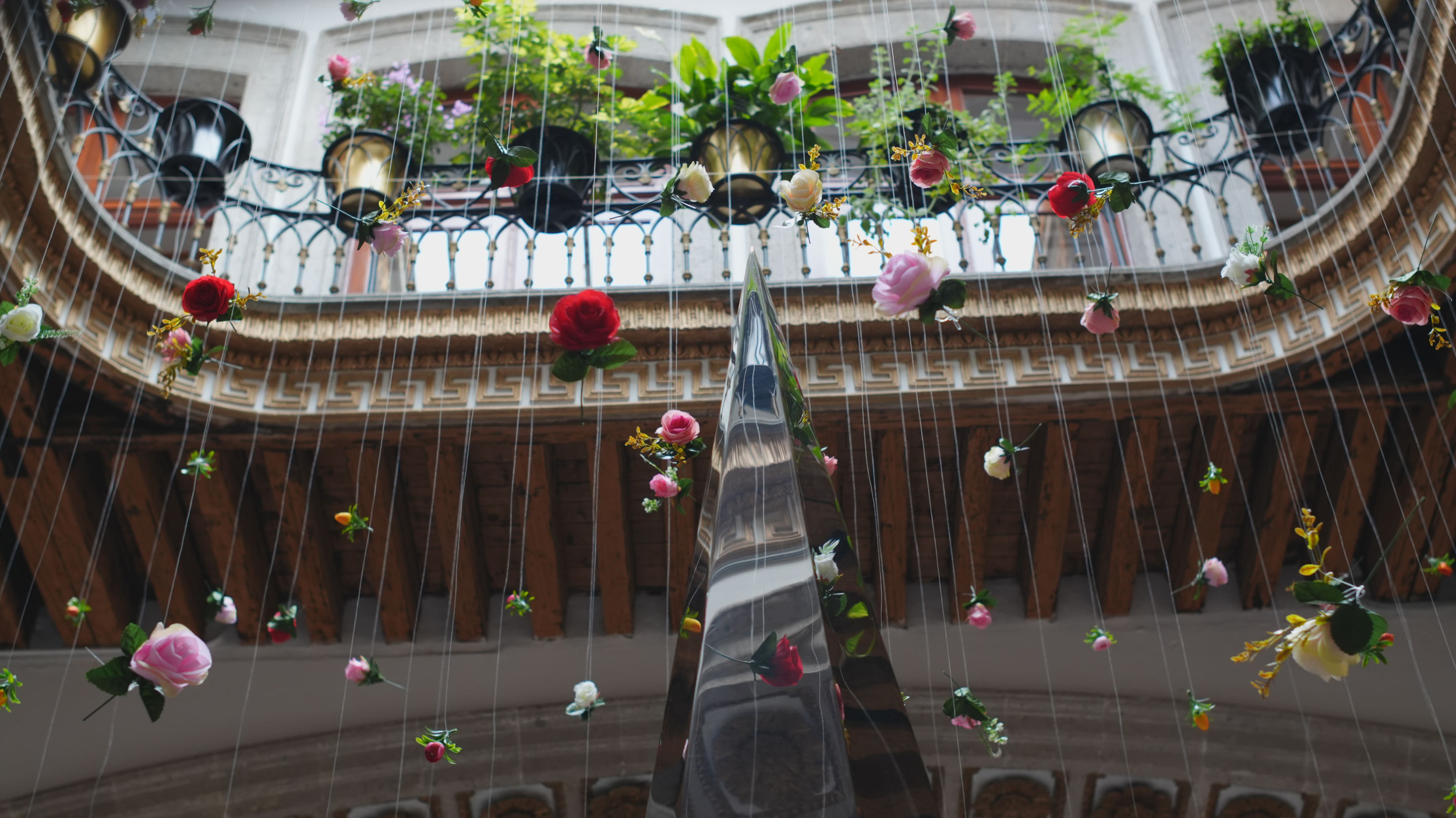 Descubre la belleza de la rosa en la exposición del Museo del Perfume (MUPE): "Los Ángulos de la Rosa" expo rosas MUPE1