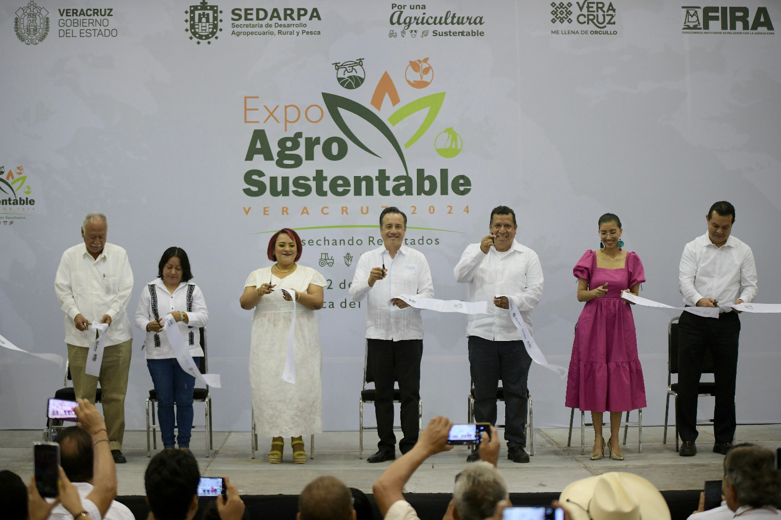 WhatsApp Image 2024-08-01 at 1.26.56 PM