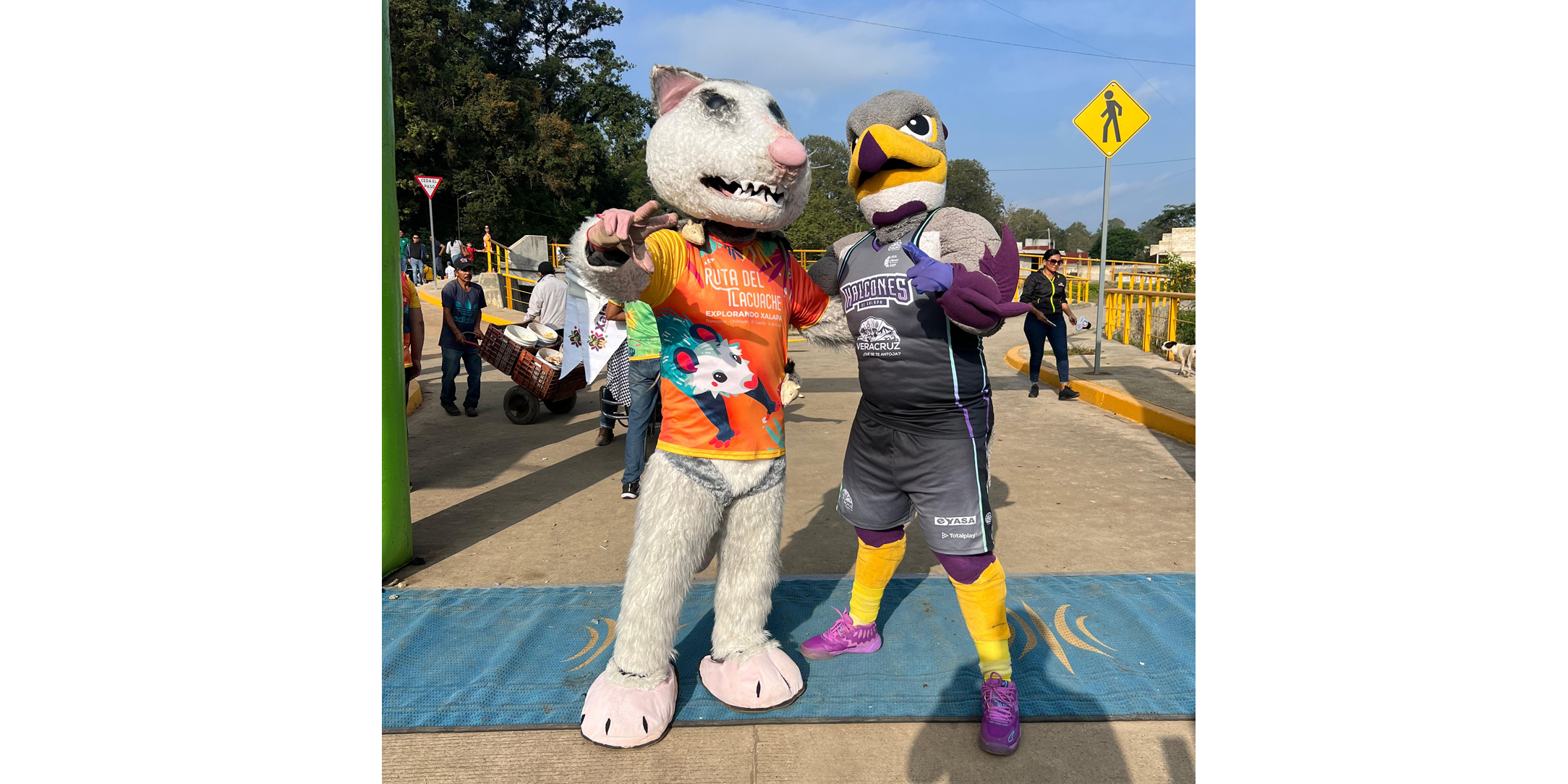 Halcones de Xalapa participó en la primera edición de la Ruta del Tlacuache Mascota-Halcones