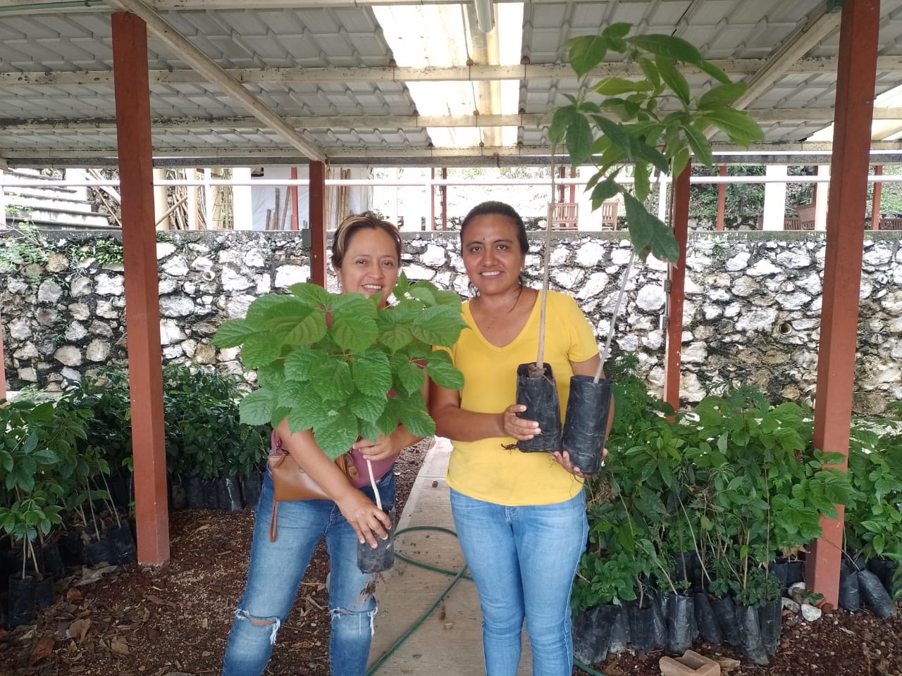 WhatsApp Image 2024-09-21 at 14.10.40