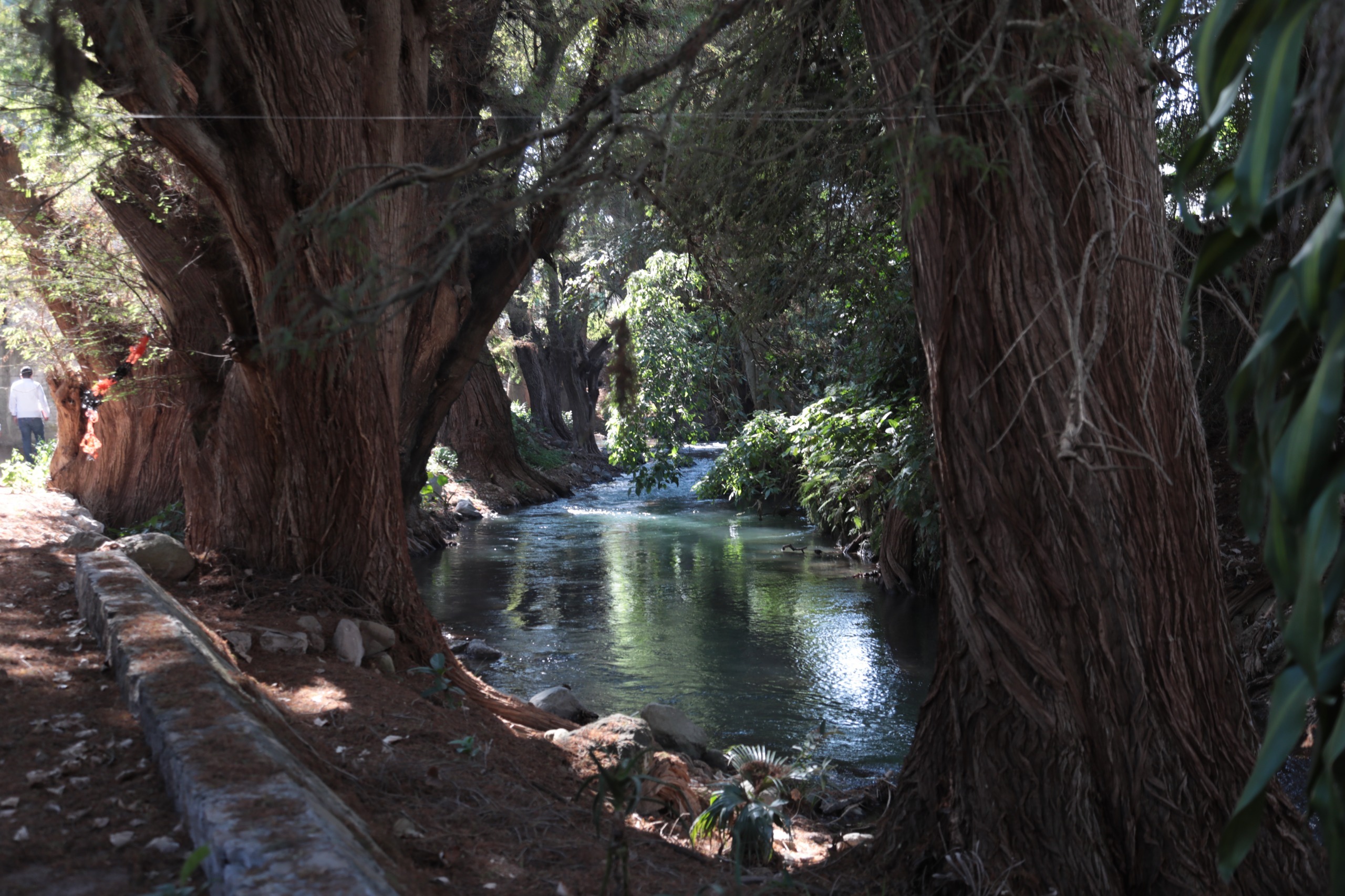 Ciudad de los Ahuehuetes-05