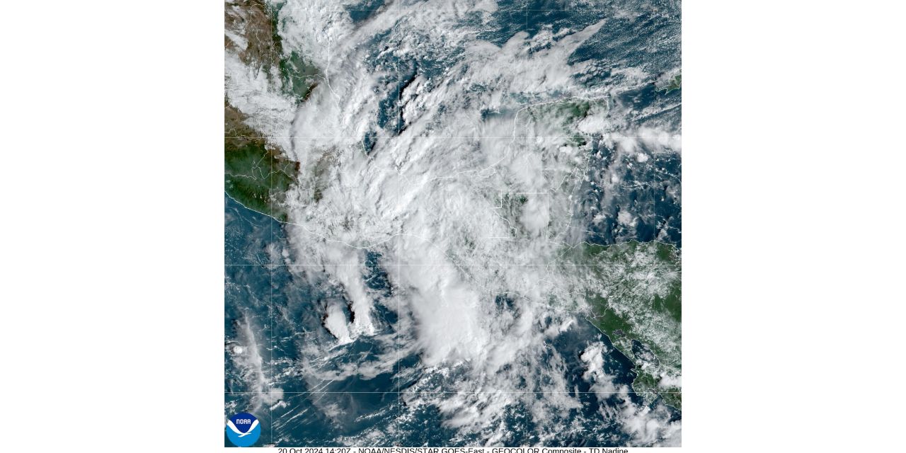 IMG_20241020_110454_396