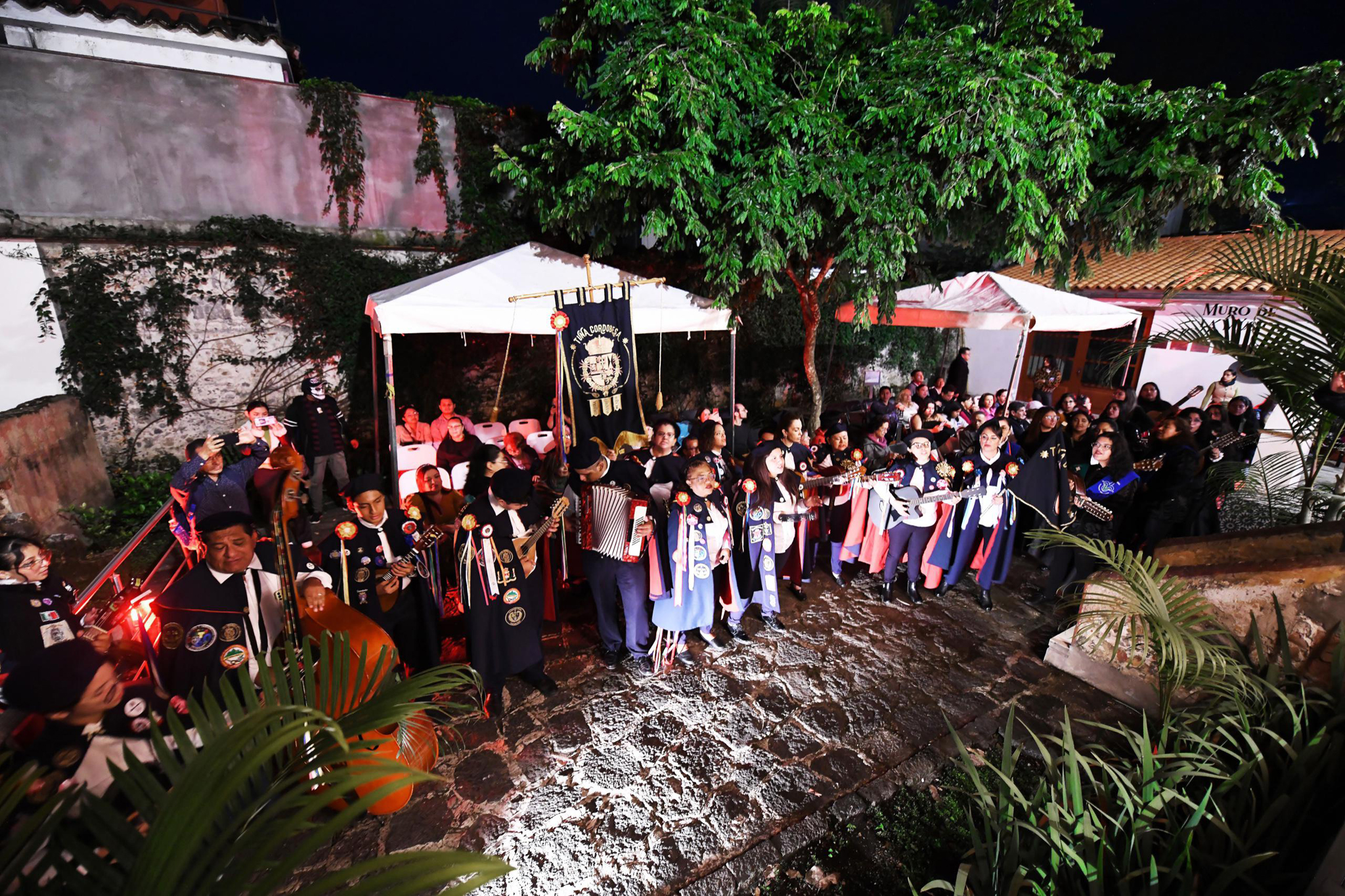 WhatsApp Image 2024-10-26 at 21.11.13