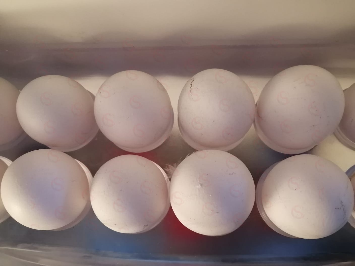 Monitorea Profeco precio del huevo y de otros productos de la canasta referencial Huevo-canasta básica