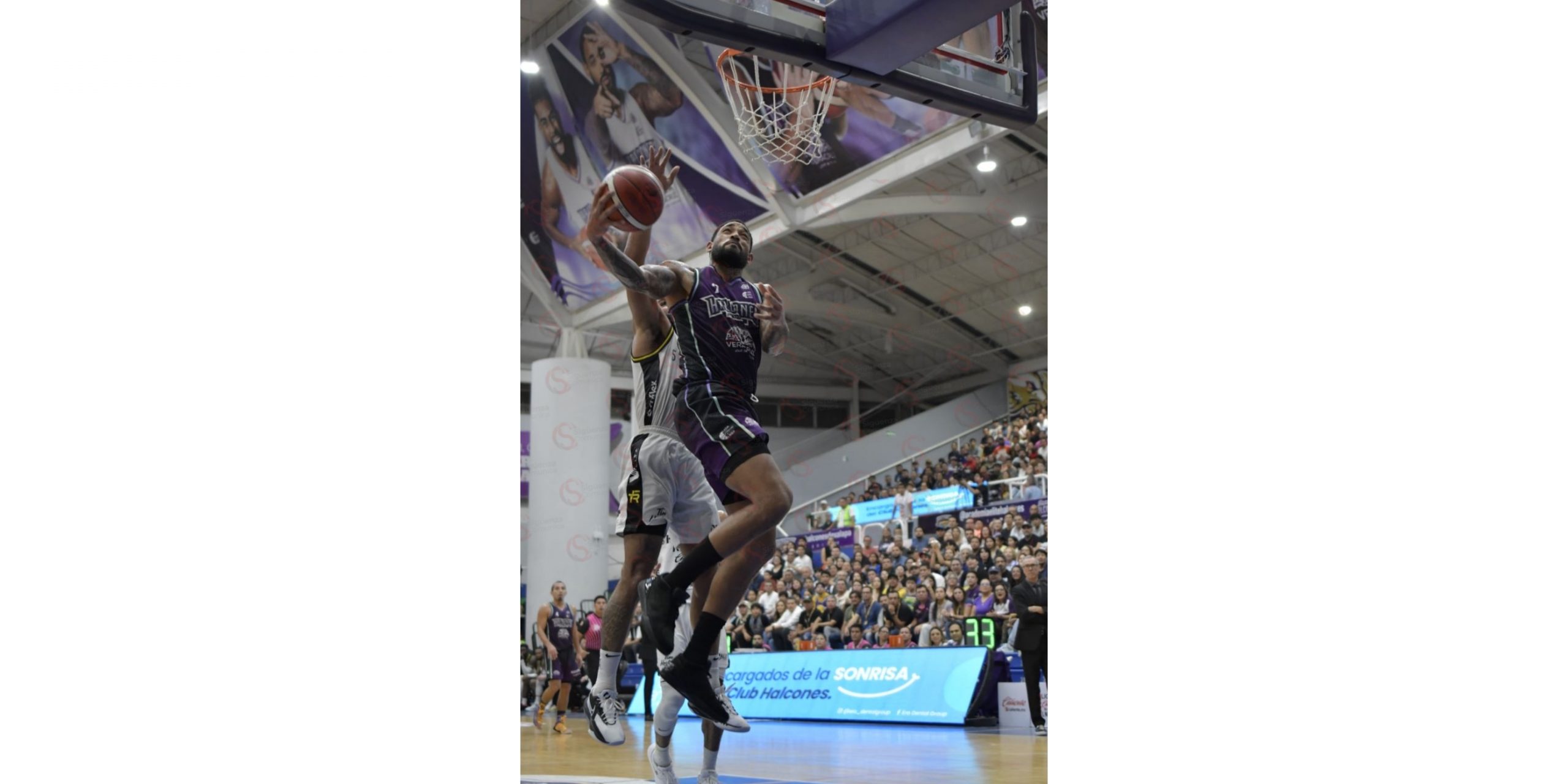 El Ave Púrpura buscará emparejar la serie este lunes Halcones de Xalapa