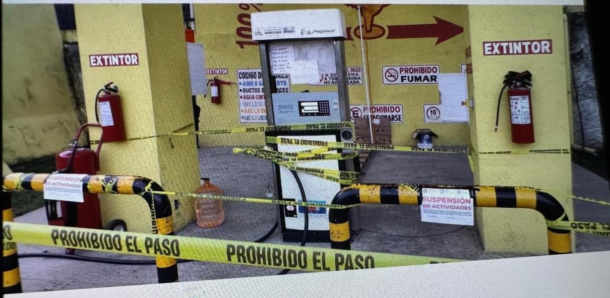 WhatsApp Image 2024-11-14 at 14.36.54