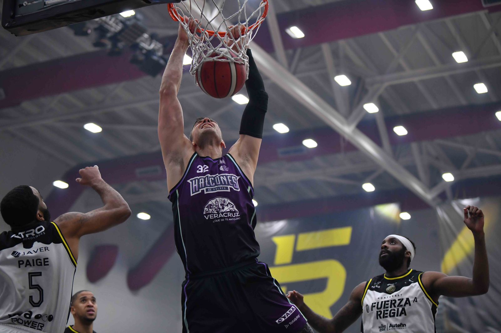 Halcones de Xalapa a la Gran Final Halcones de Xalapa