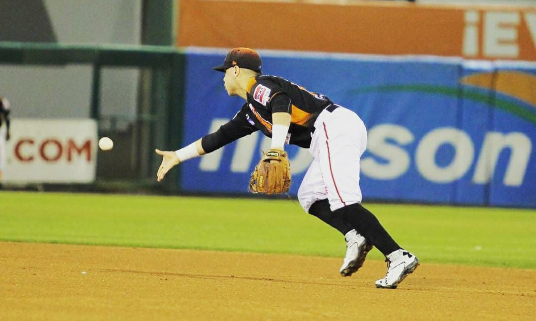 WhatsApp Image 2024-11-18 at 11.53.17