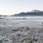 Confirman horario de invierno en escuelas de Veracruz a partir de enero