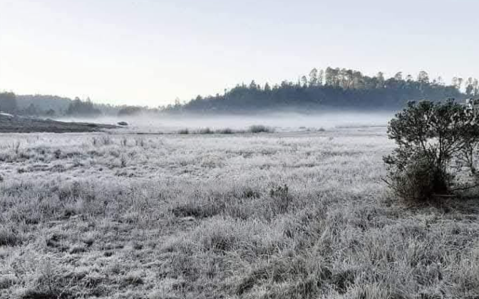 frio