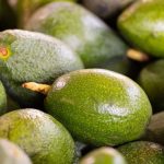 Tendría Veracruz Ley para la producción y comercialización del Aguacate