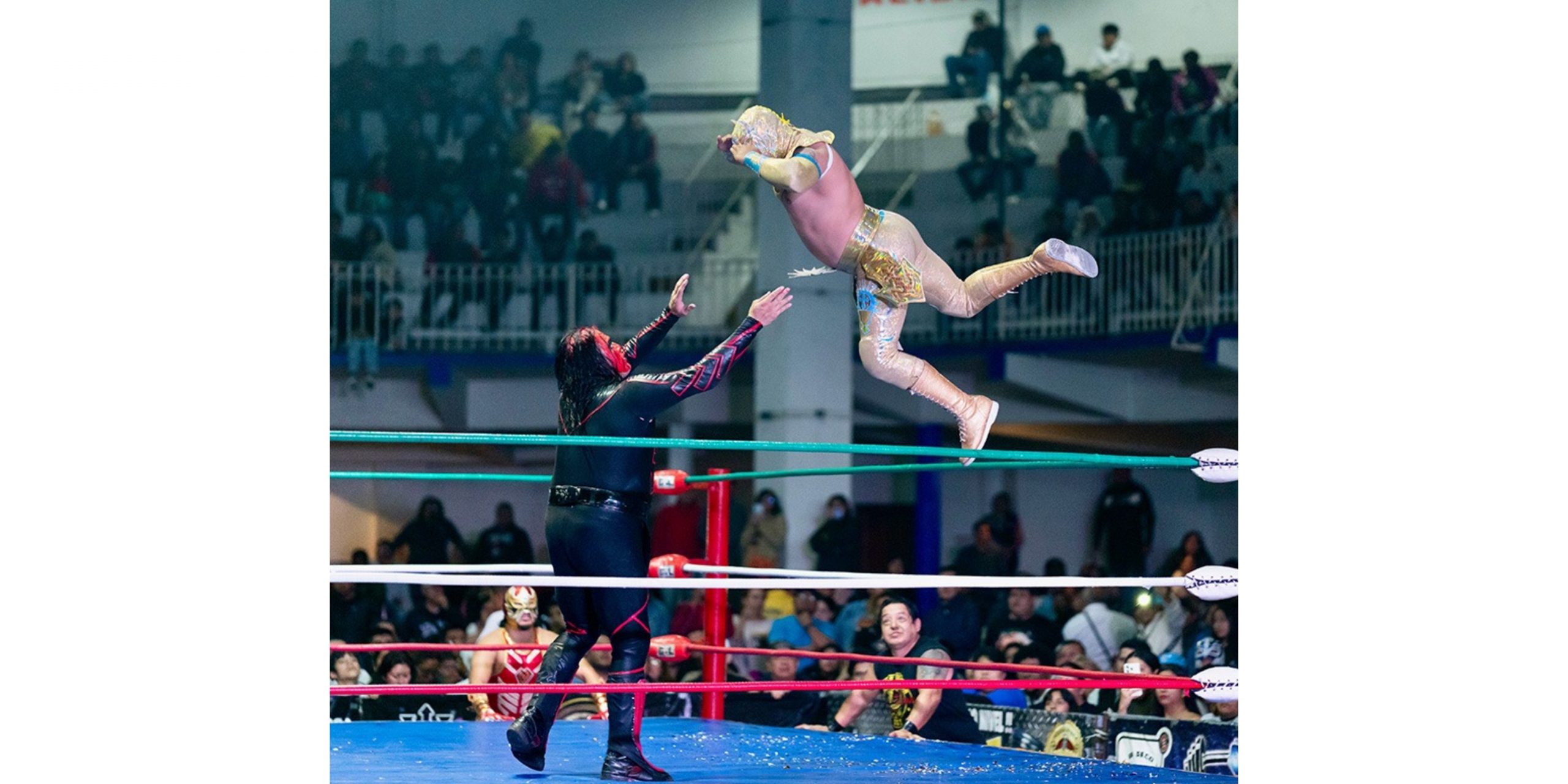 El 2024 cierra con éxito para la PCM Lucha Libre