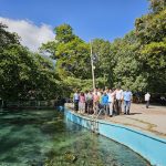 Biósfera de Los Tuxtlas enfrenta amenazas por tala clandestina y expansión ganadera: Conanp