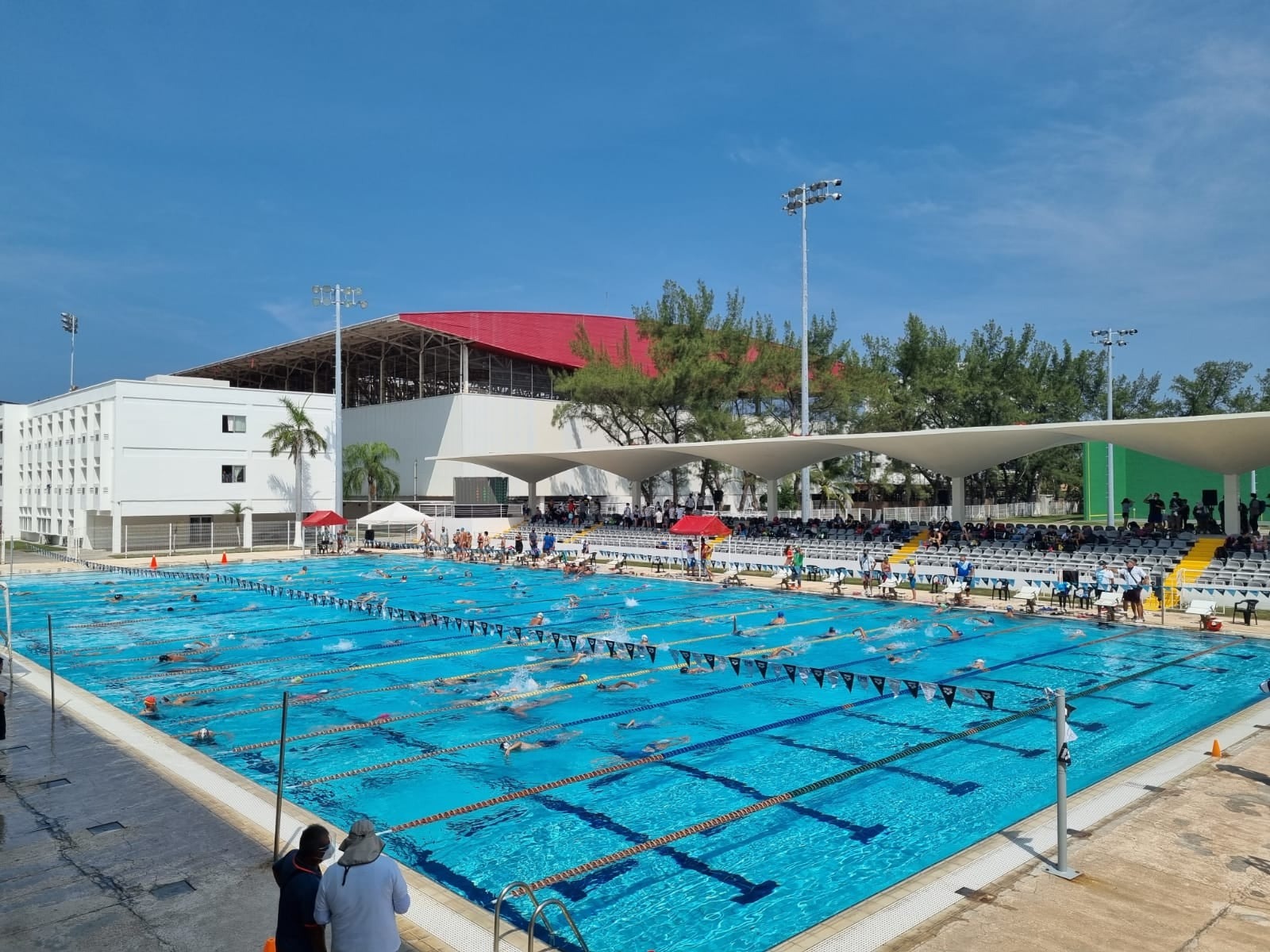 natación