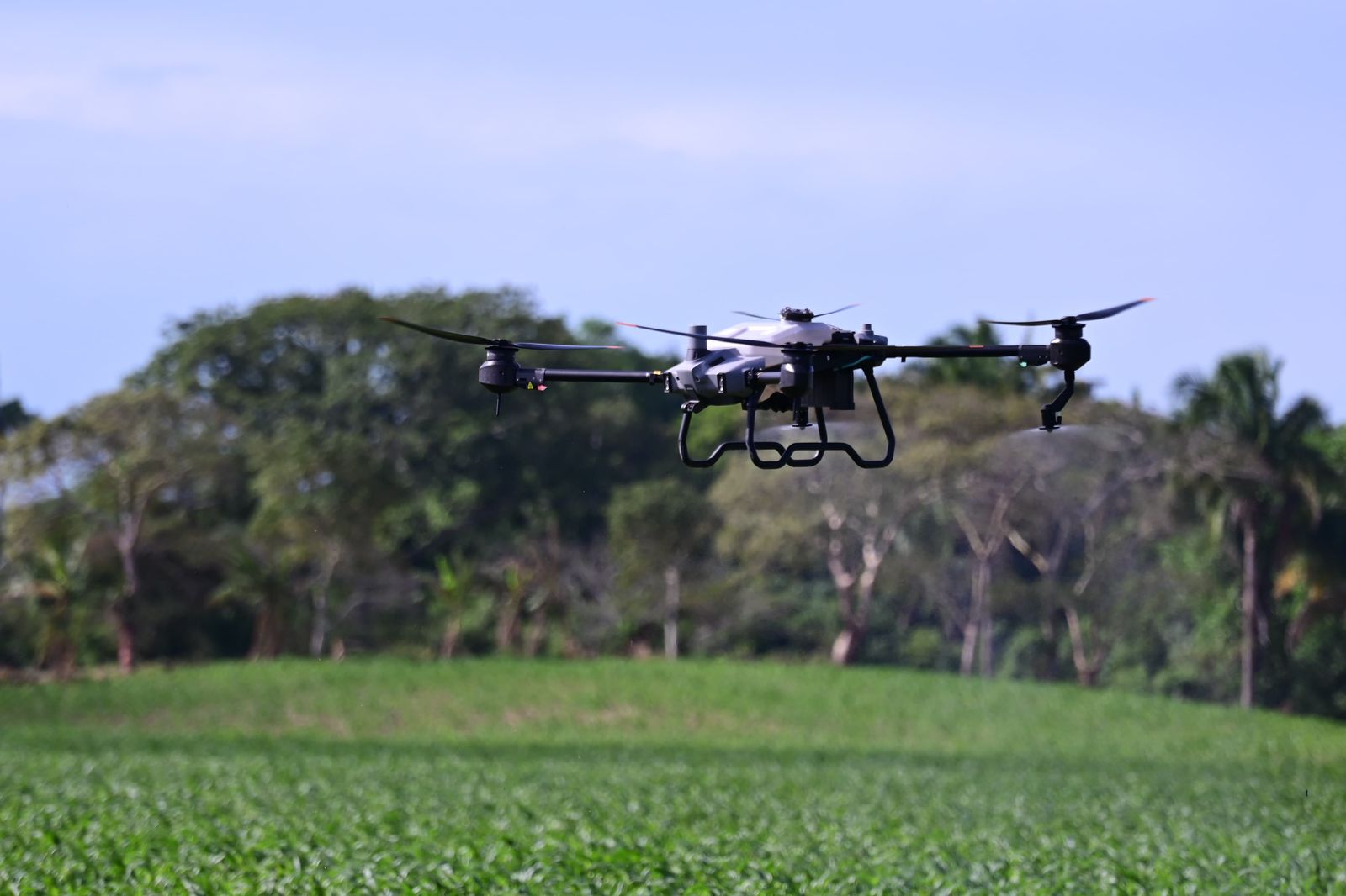 campo-dron-cultivos