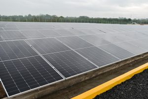 paneles solares
