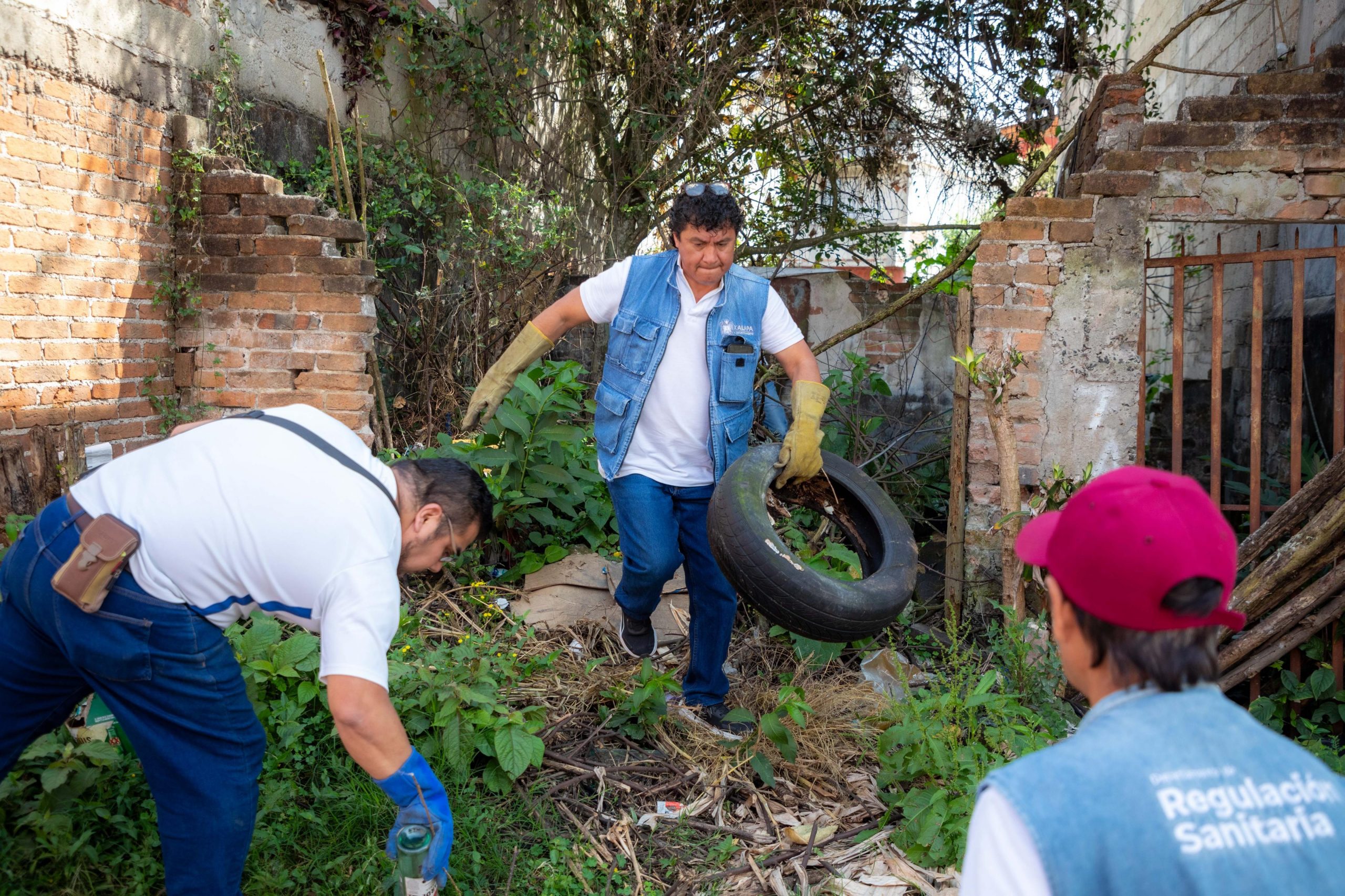 Descacharrización-01