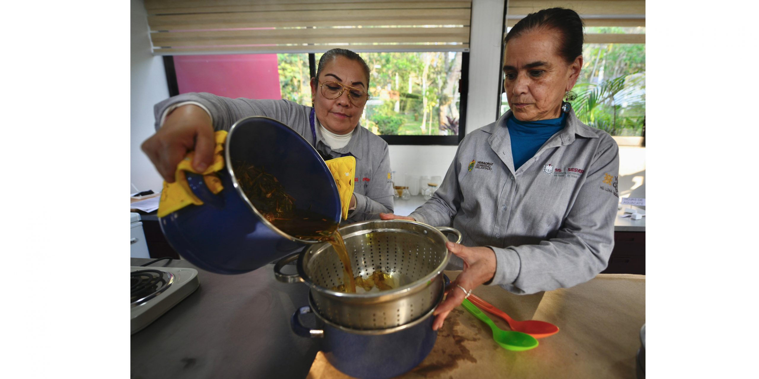 Herbolaria-repelente de moscos-01