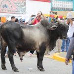 Toreros defienden a Emiliano Gamero; ley en Veracruz permite corridas con muerte del toro