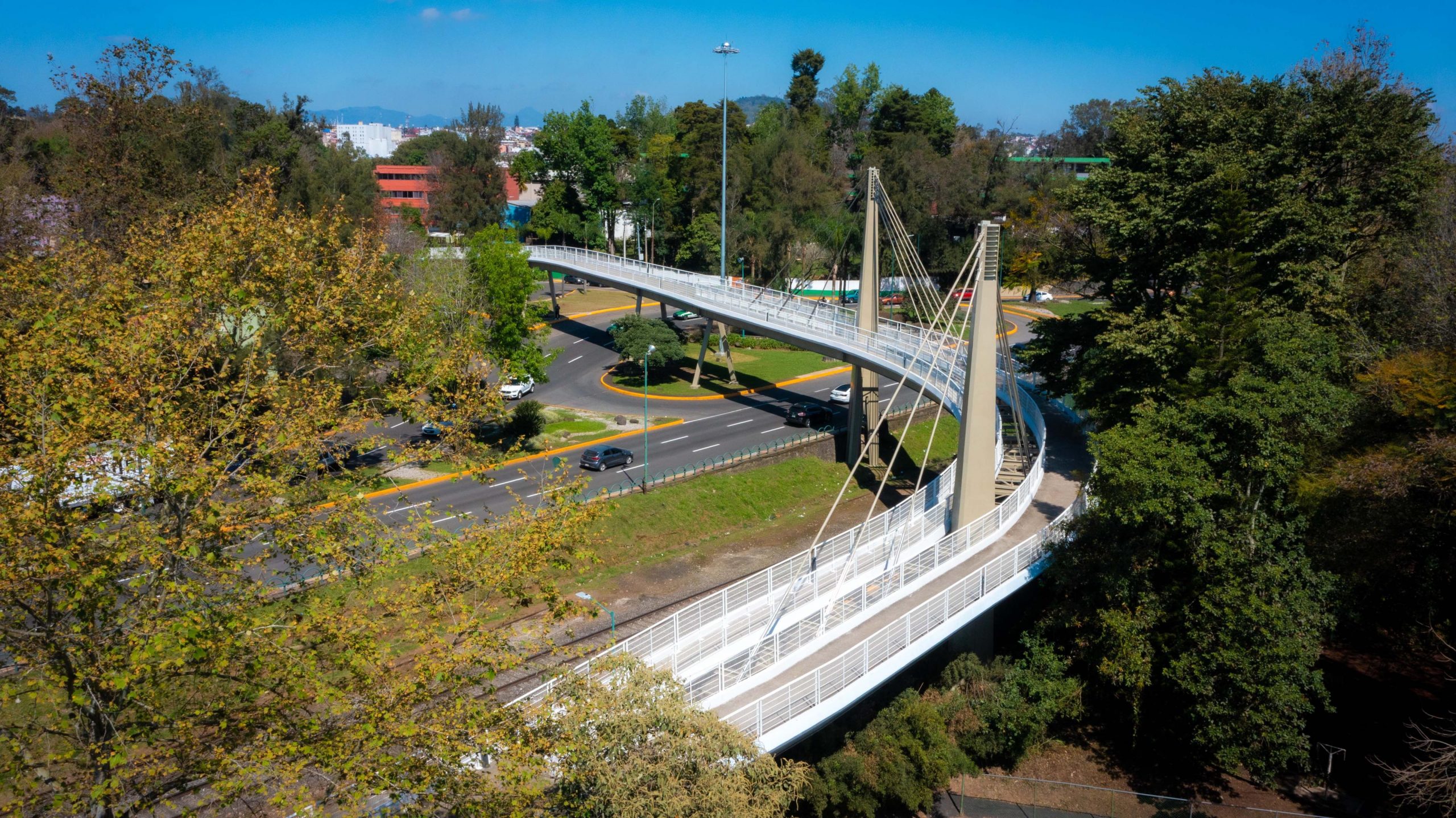 WhatsApp Image 2025-02-07 at 12.04.34 PM