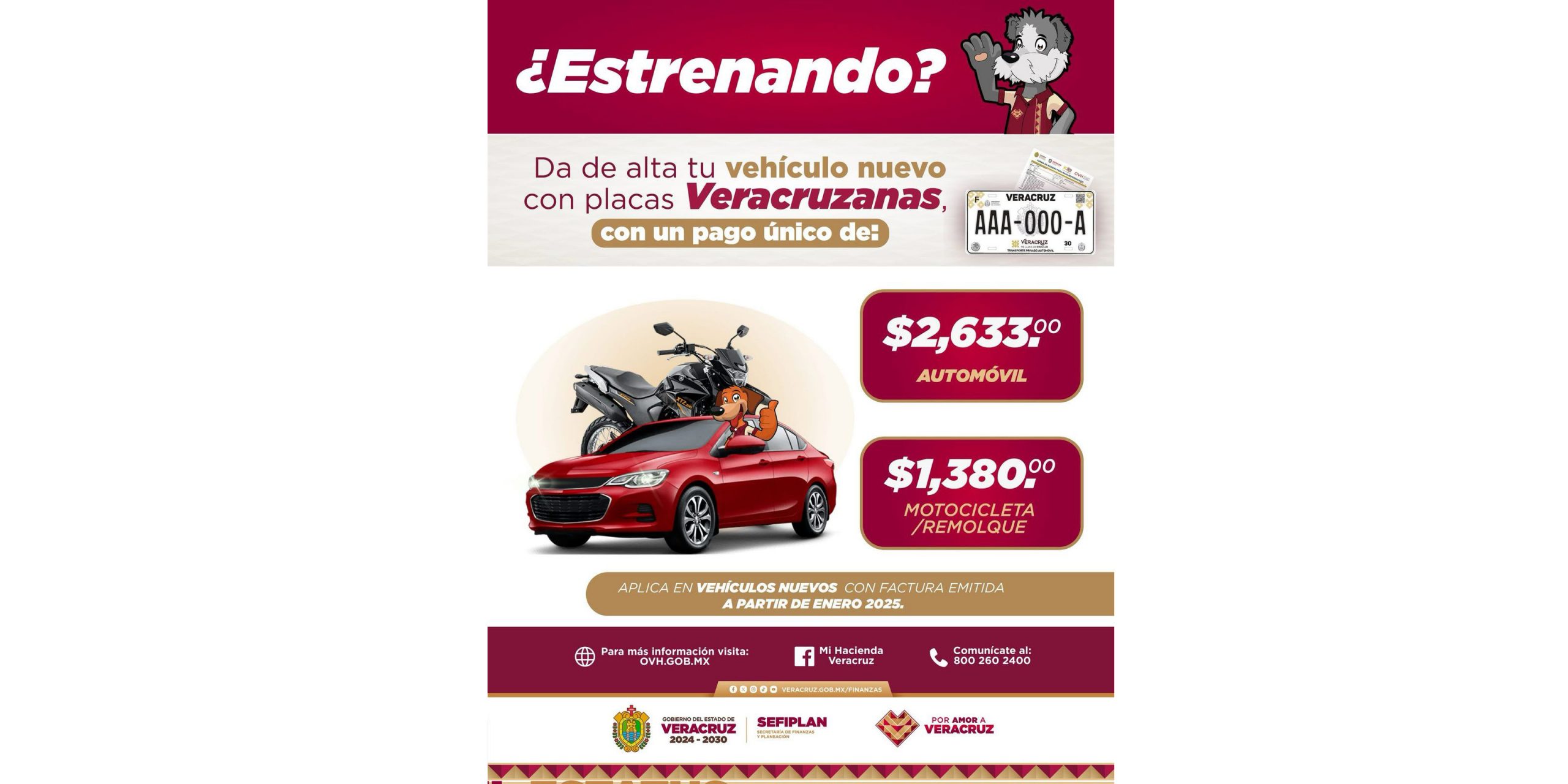 WhatsApp Image 2025-02-13 at 11.42.18