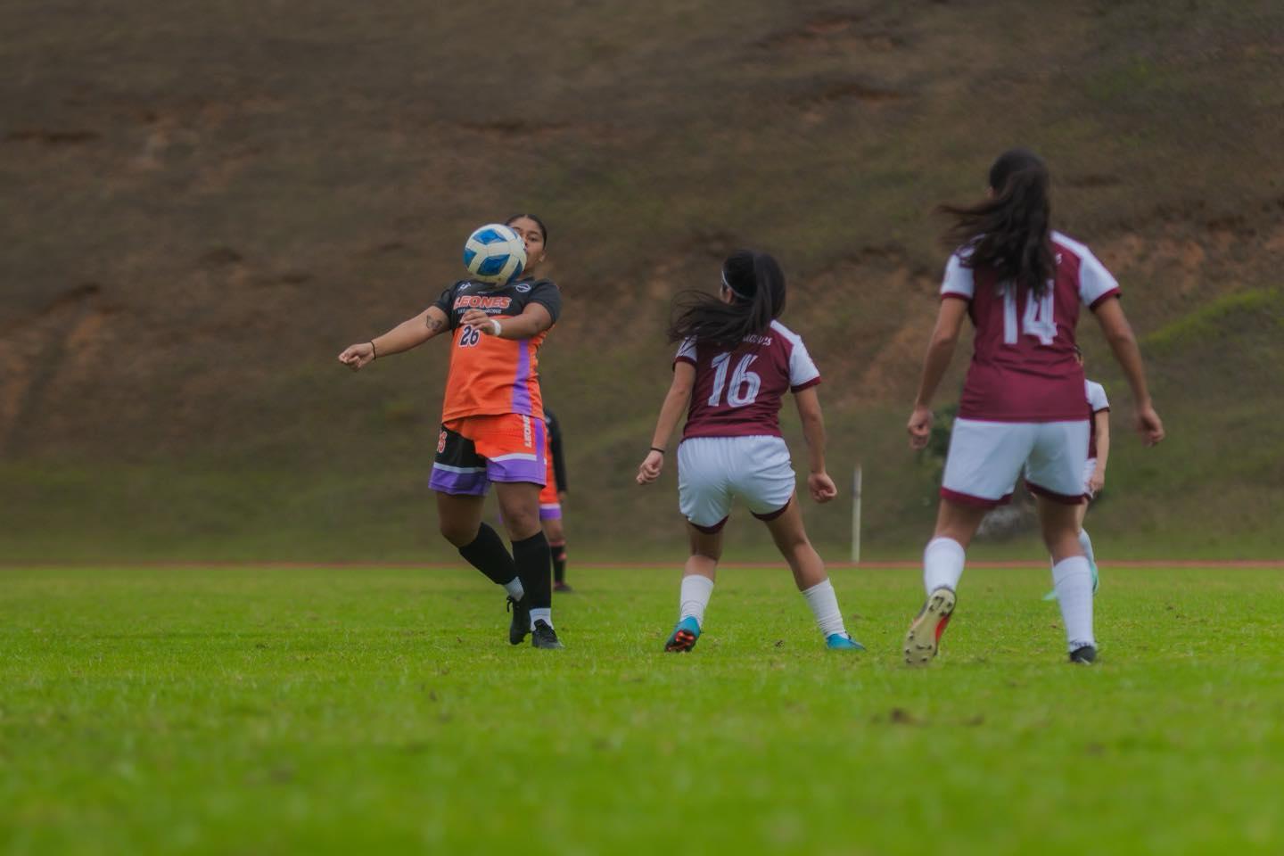 WhatsApp Image 2025-02-24 at 17.02.04