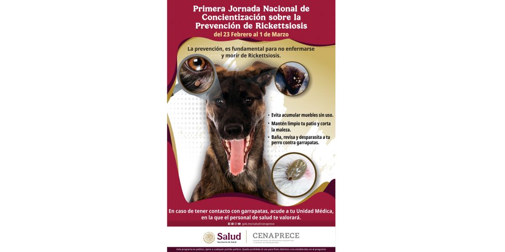 rickettsiosis