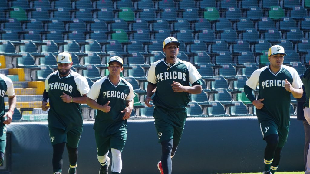 Pericos de Puebla-01