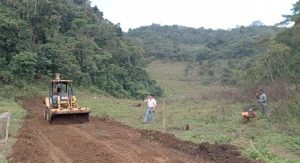 tractor-siembra