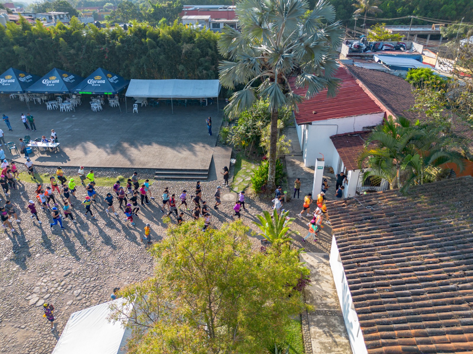 WhatsApp Image 2025-03-09 at 11.08.51