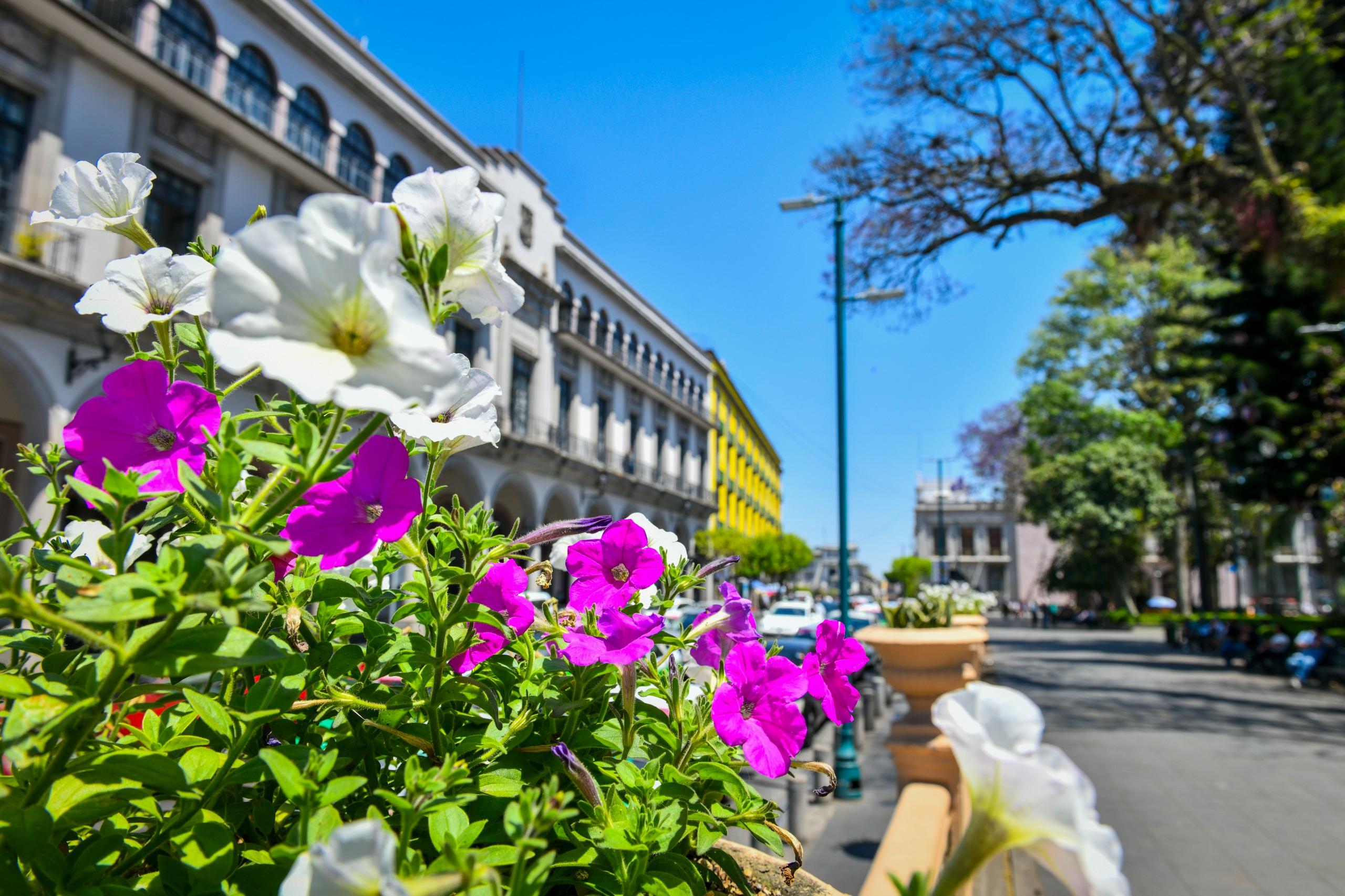 Emite PC Municipal Alertamiento Preventivo por Surada y Norte WhatsApp Image 2025-03-19 at 1.57.08 PM