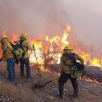 Periodo de canícula incrementa riesgo de incendios forestales y de pastizal en Veracruz