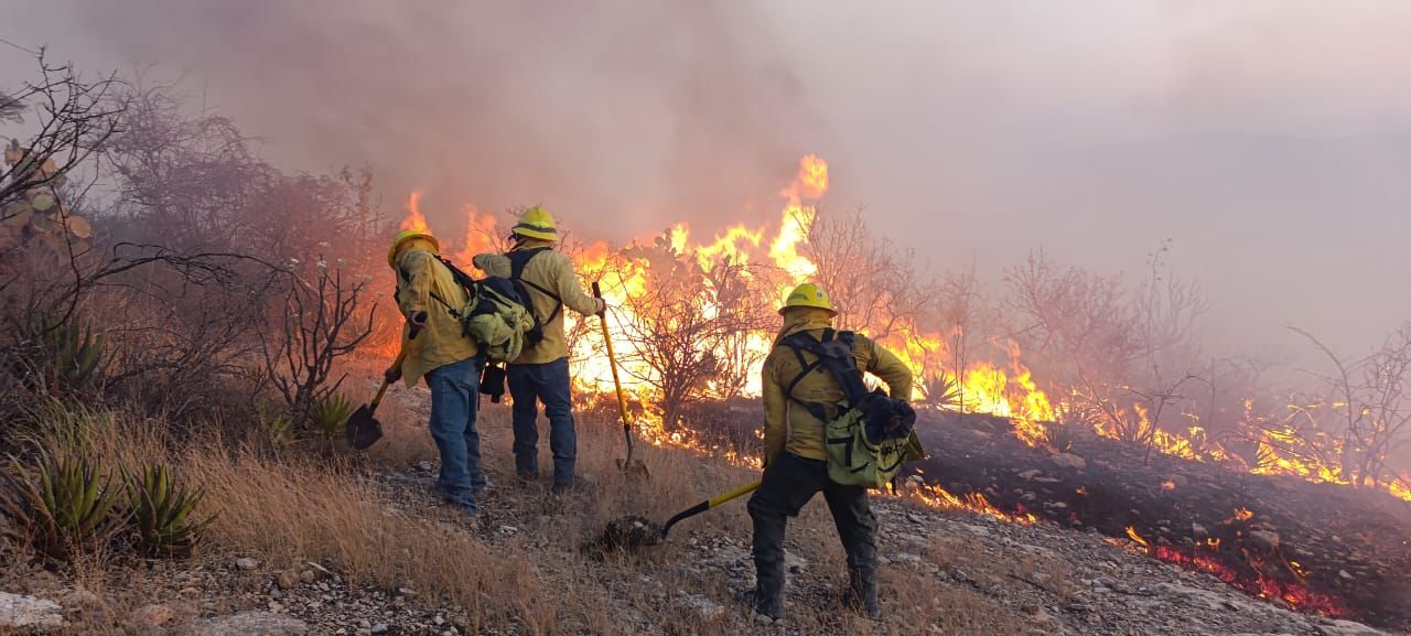Periodo de canícula incrementa riesgo de incendios forestales y de pastizal en Veracruz incendio forestal