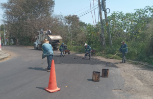 bacheo