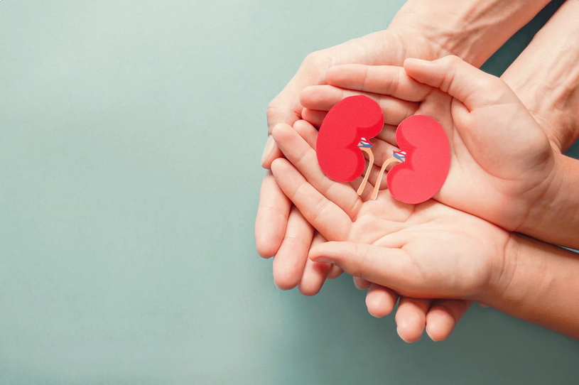 Donación de órganos