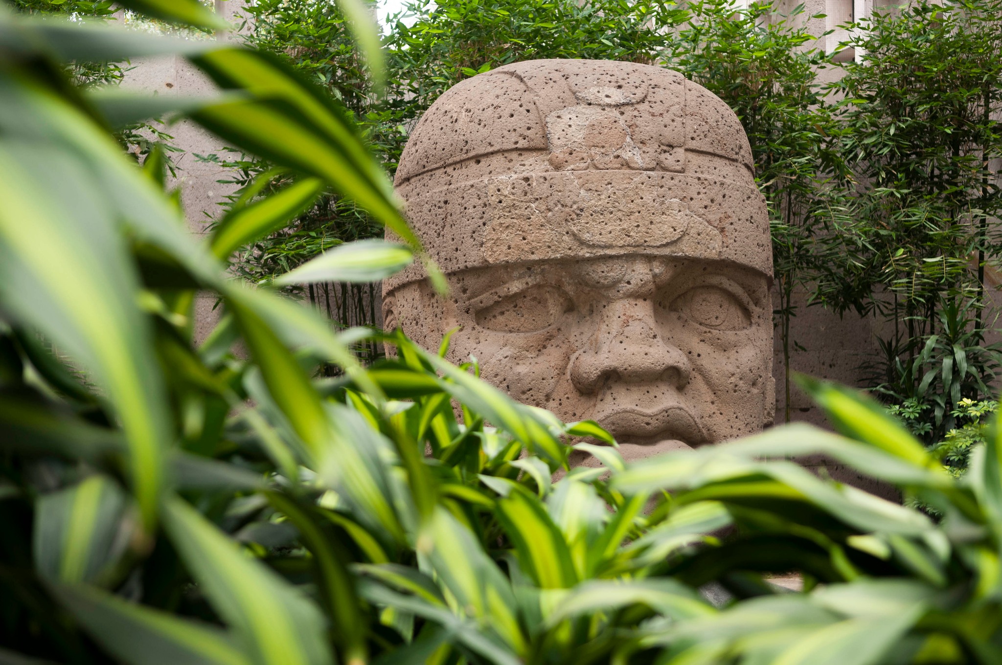 Museo de Antropología-01