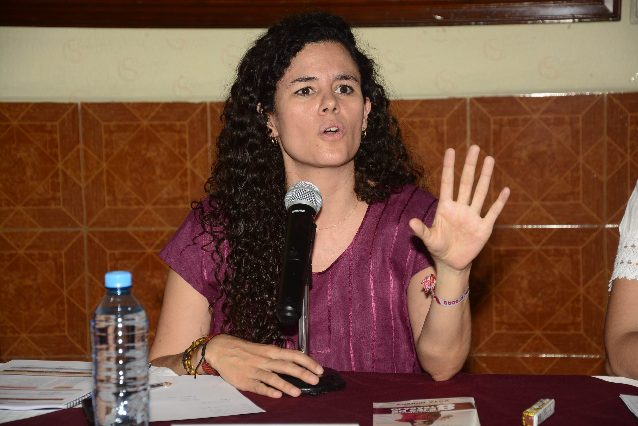 Ignora Morena regulación de precampañas Luisa Alcalde