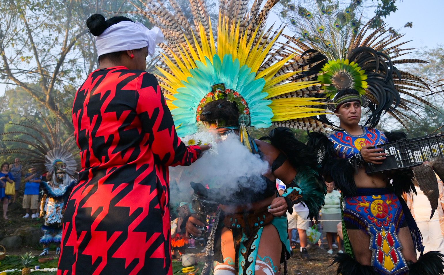 carga de energía-marzo-primavera