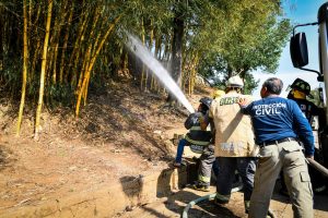 incendio Lagos