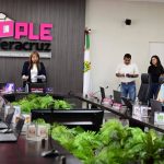 OPLE Veracruz aprueba designaciones de consejos municipales