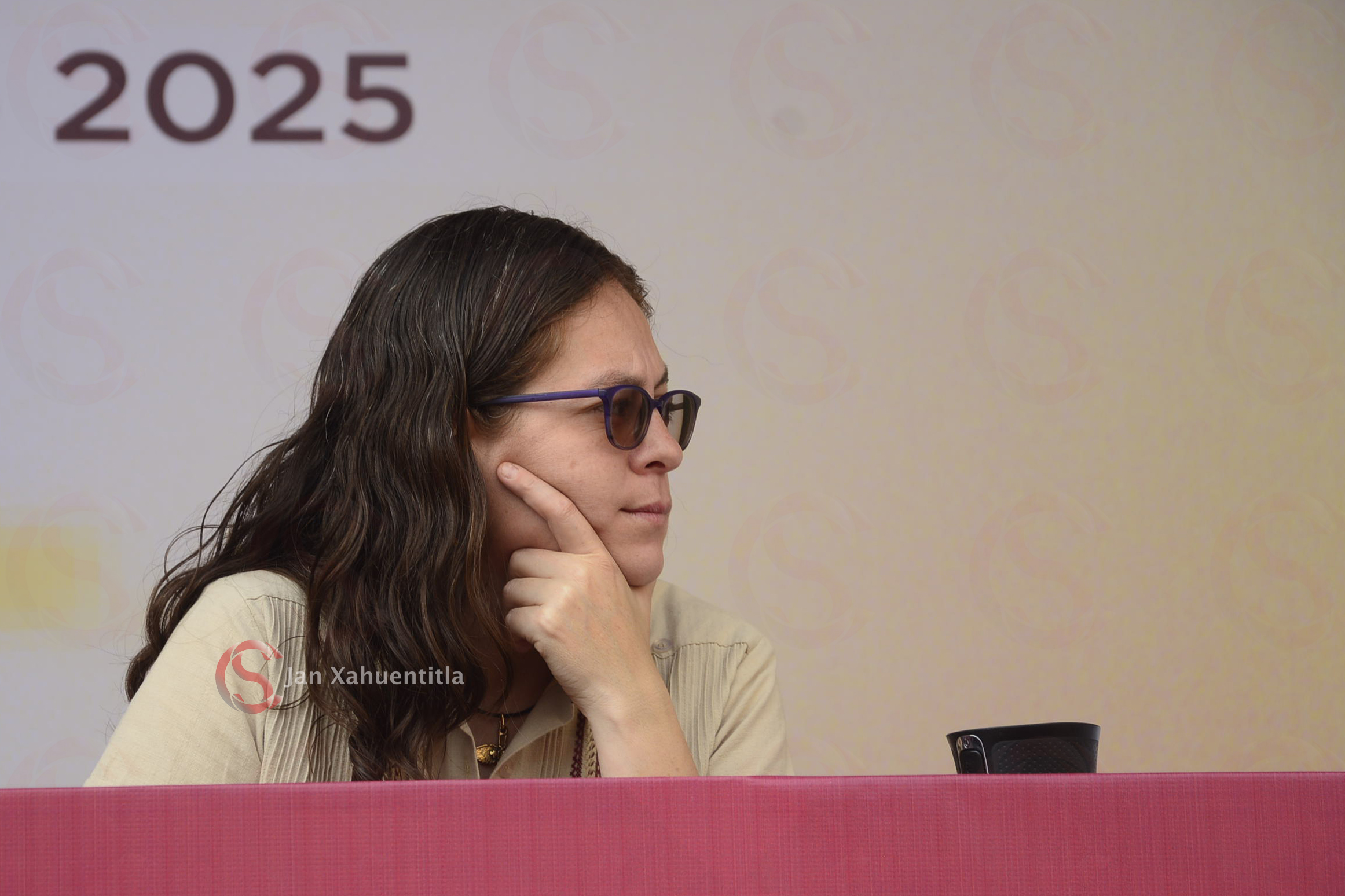 Buscan aprobar ley que busca sancionar el encubrimiento: Tanya Carola Viveros Cházaro Tanya Carola