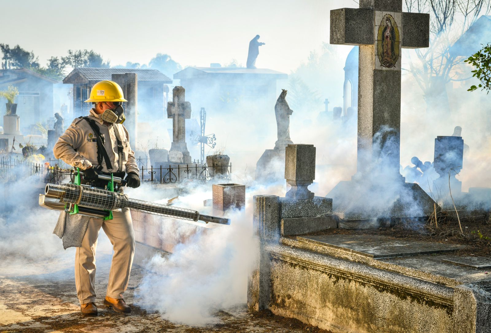 WhatsApp Image 2025-05-07 at 10.23.20 AM