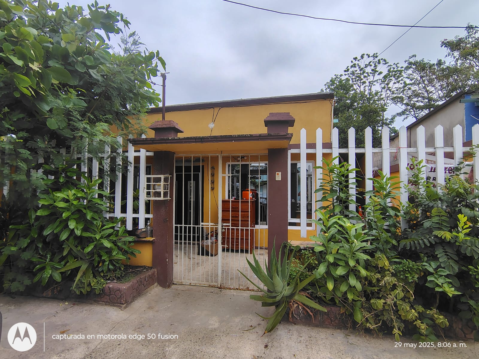 WhatsApp Image 2025-05-29 at 13.33.48