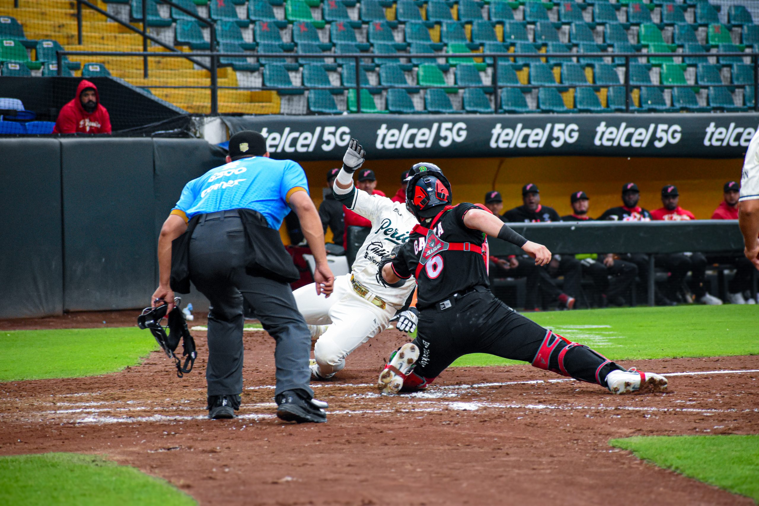 Pericos vs El Águila