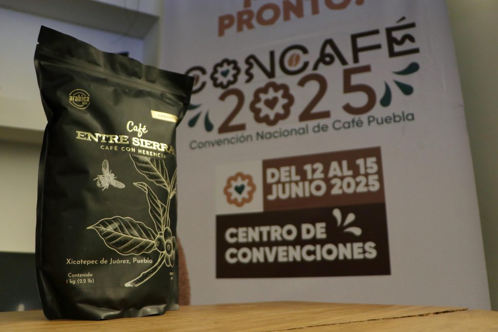 Concafé